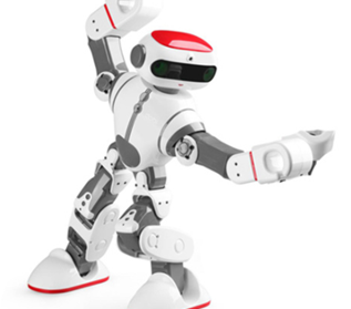 Dobi Humanoid Intelligent Programmable RC Robot